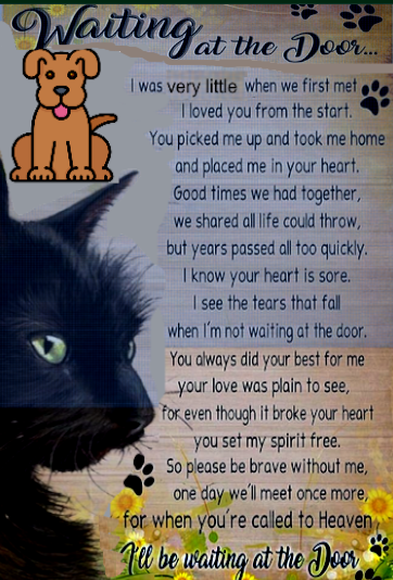 In Memory of My Pets